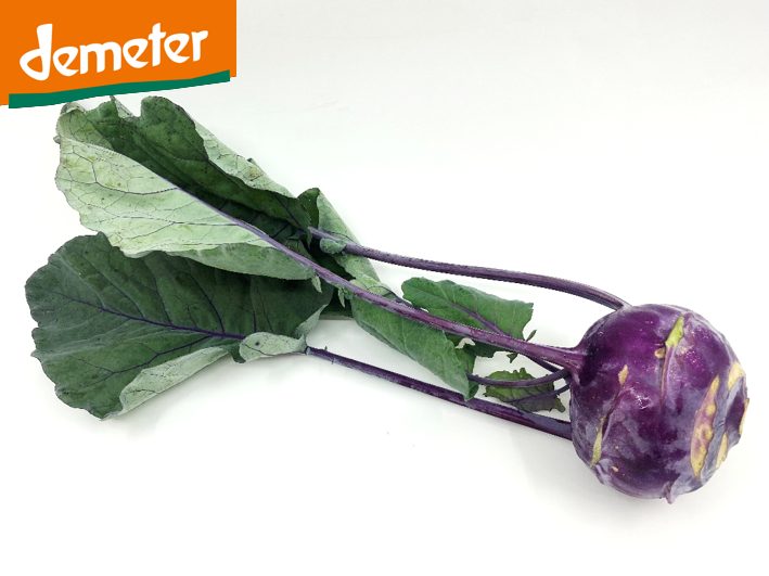 Kohlrabi violett DEMETER