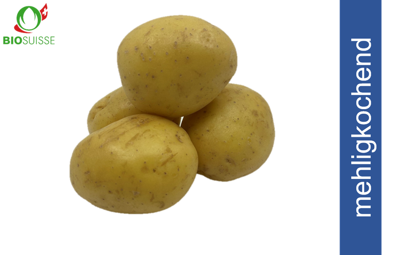 Kartoffeln mehlig. gew. Bio