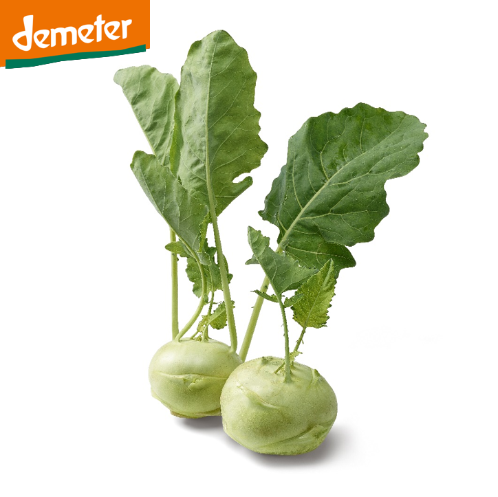 Kohlrabi weiss DEMETER