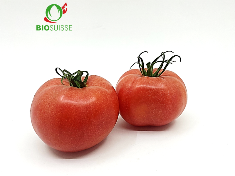 Tomaten Fleisch Bio