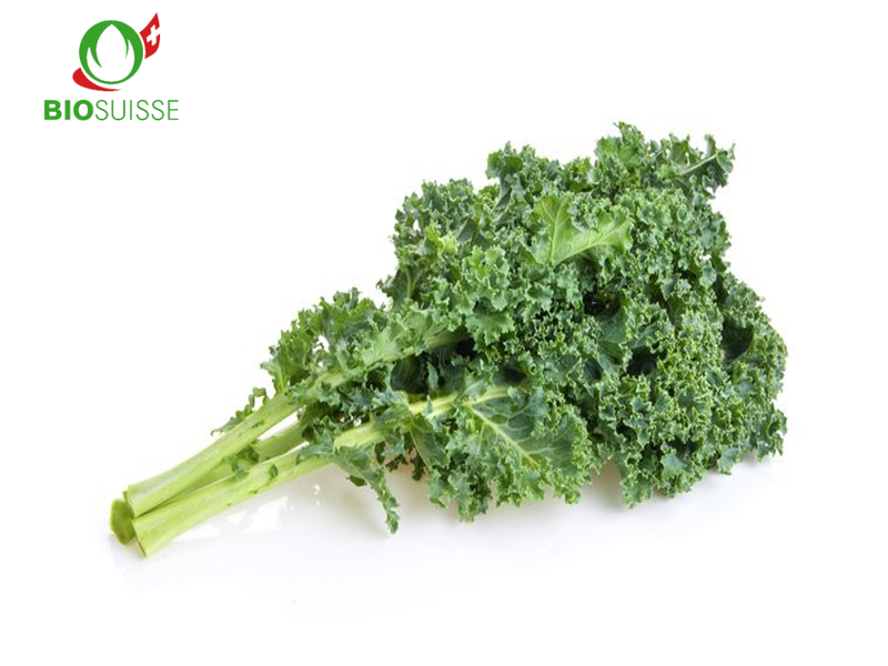 Federkohl Bio