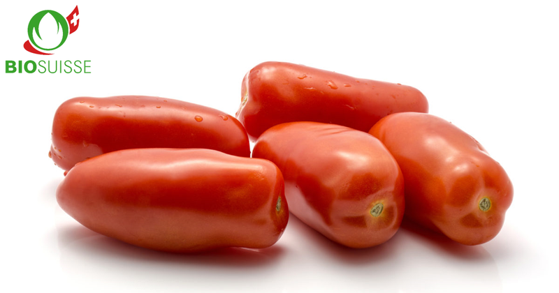 Tomaten Peretti Bio