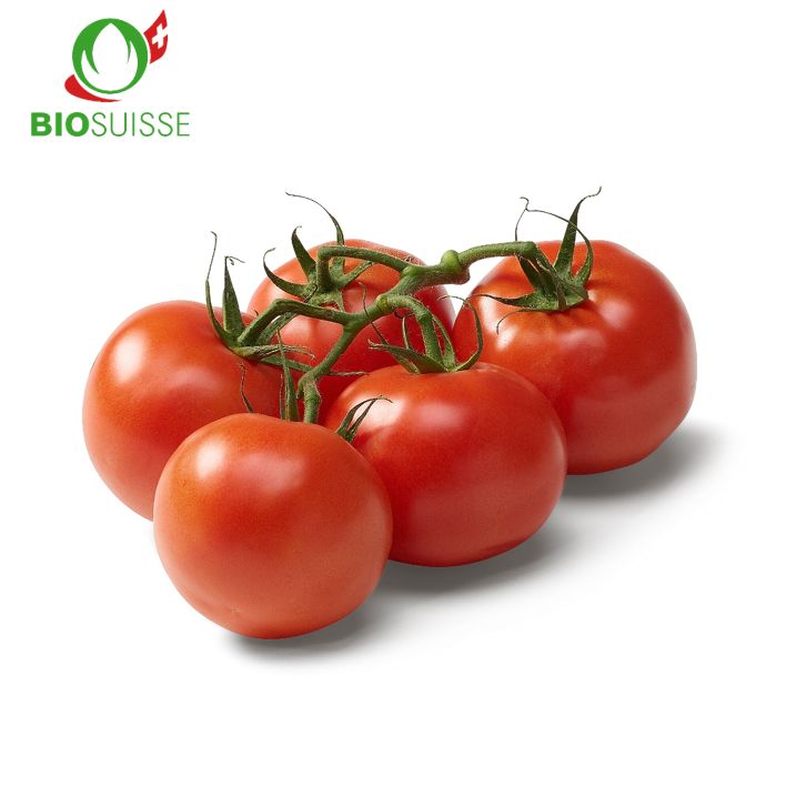 Tomaten Rispen Bio