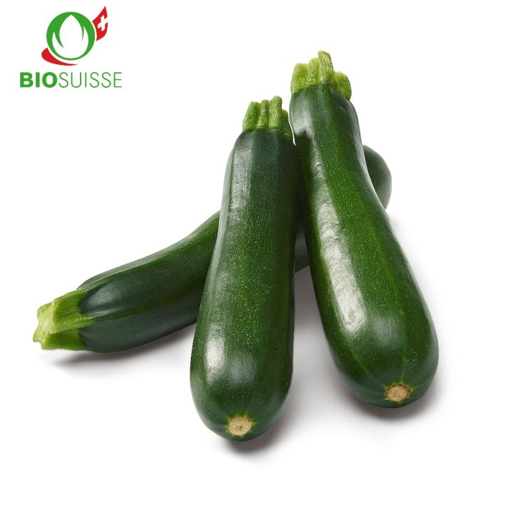 Zucchetti grün Kg 2.Kl. Bio