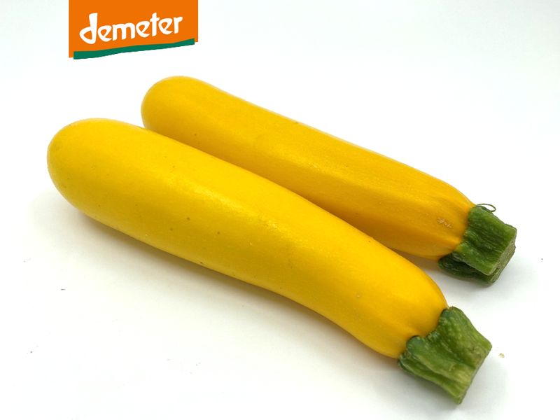 Zucchetti gelb DEMETER