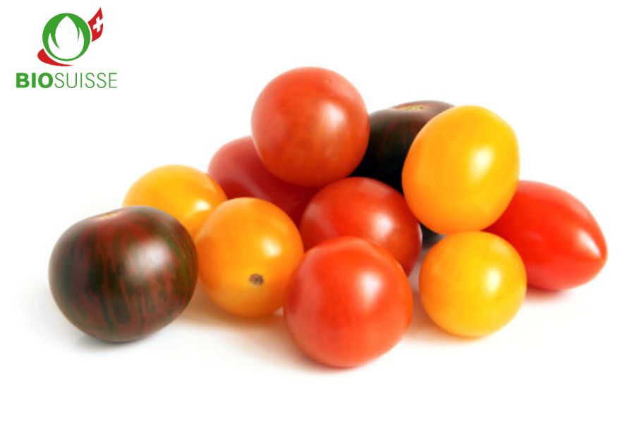 Tomaten Cherry mix kg Bio