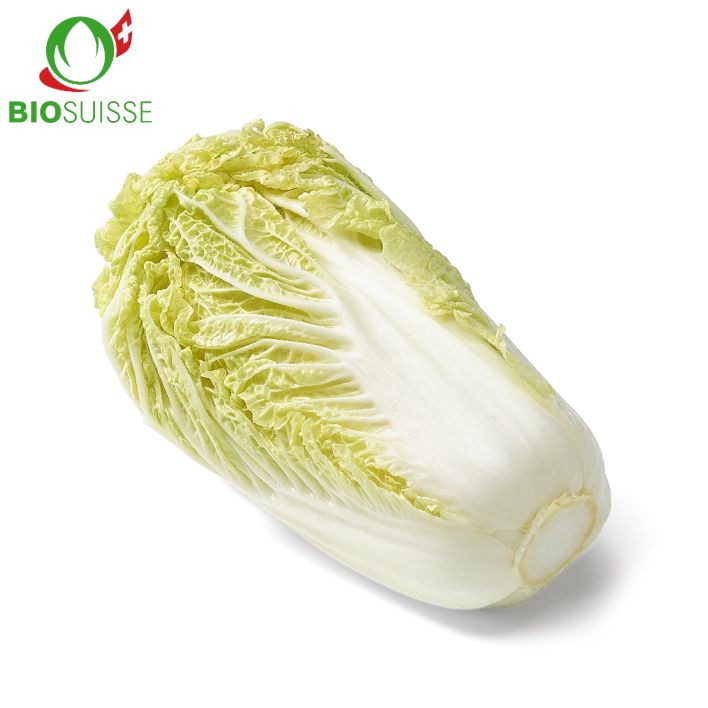 Chinakohl Bio