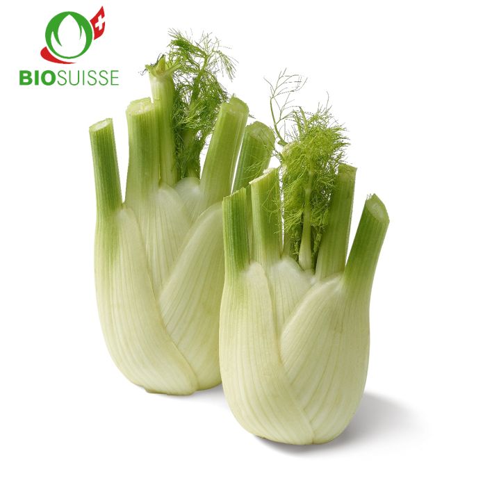 Fenchel Bio