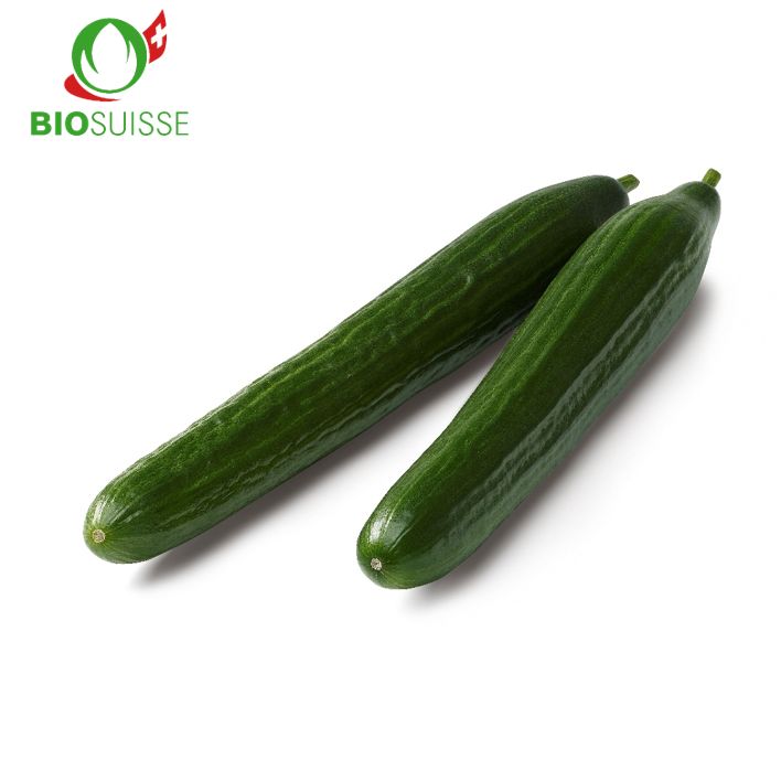 Gurken Bio