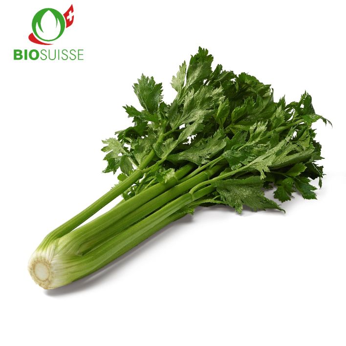 Stangensellerie Bio Stangensellerie Bio