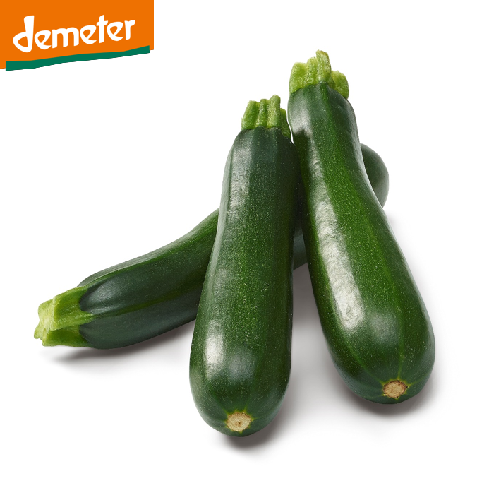 Zucchetti grün DEMETER
