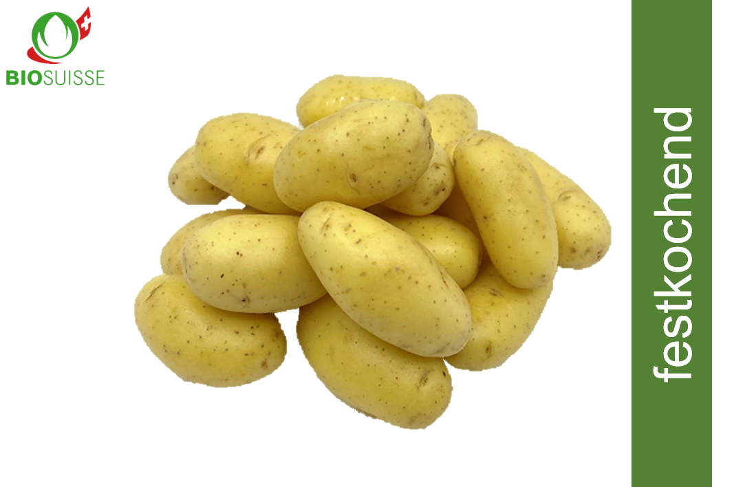 Babykartoffeln gew. Bio