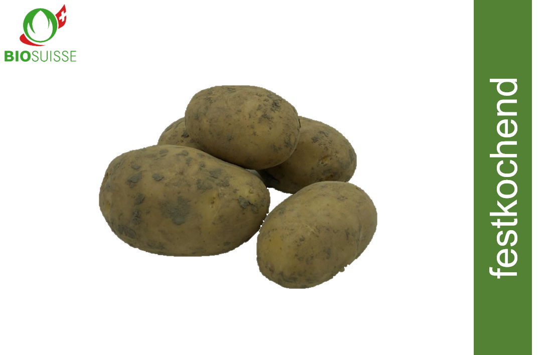 Kartoffeln festk. ungew. Bio
