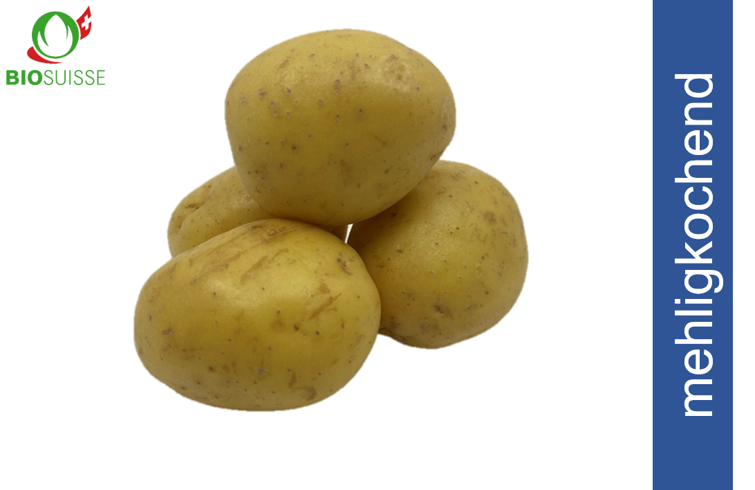 Kartoffeln mehlig. gew. Bio