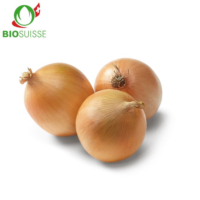 Zwiebeln Bio