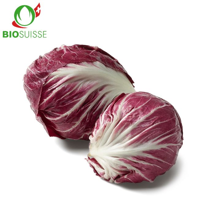 Cicorino rosso Bio