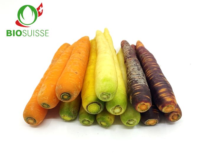 Karotten Mix farbig Bio