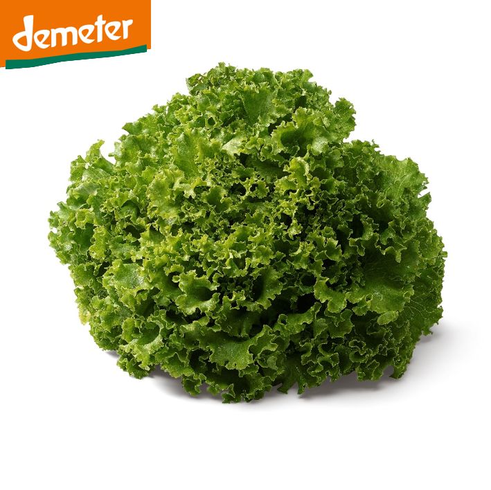 Batavia grün DEMETER
