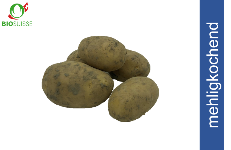 Kartoffeln mehlig. ungew. Bio