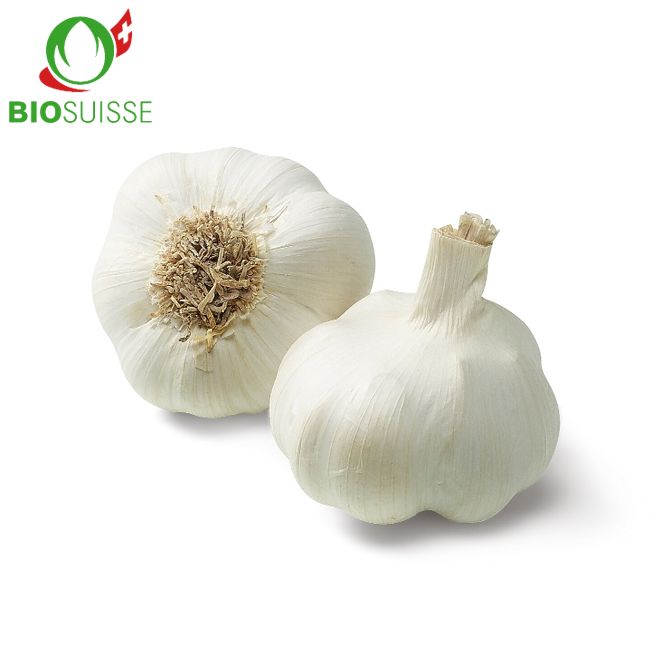 Knoblauch getrocknet Bio