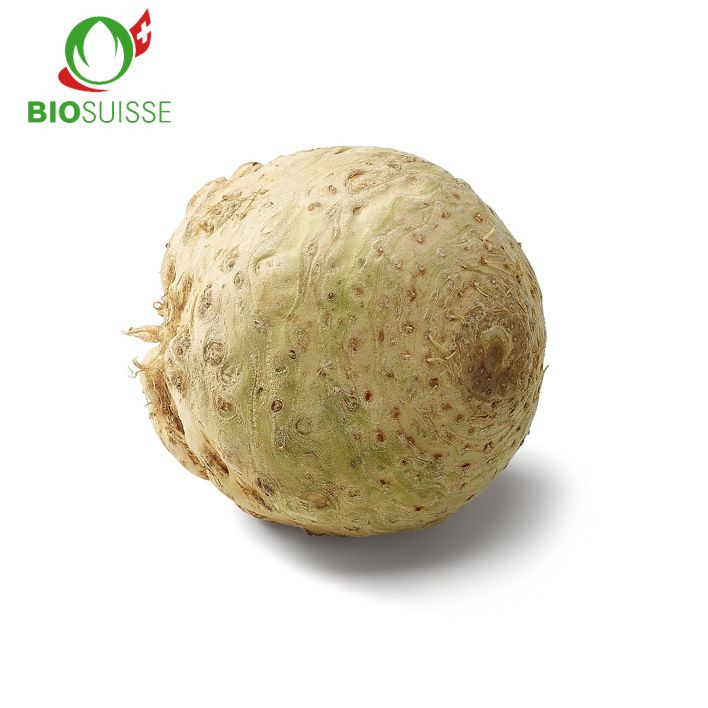 Knollensellerie  gew. Bio