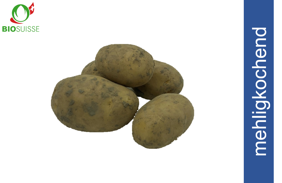 Kartoffeln mehlig. ungew. Bio