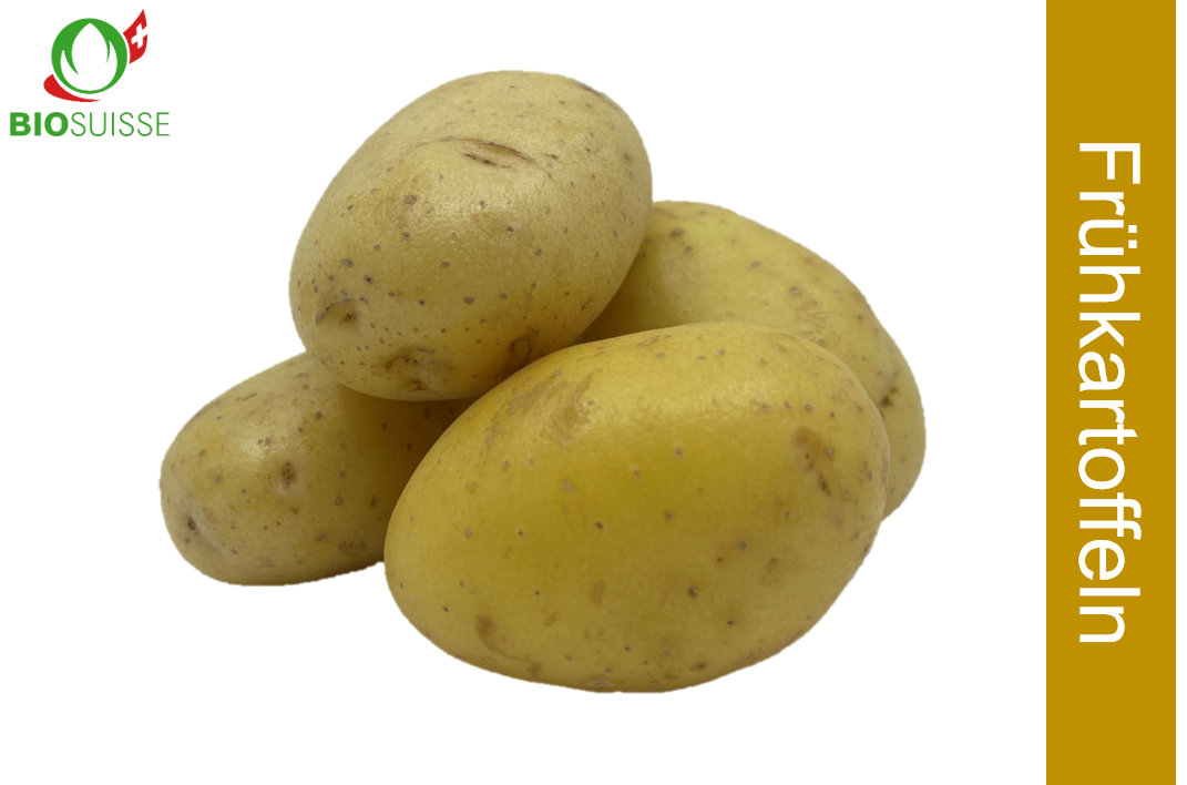 Frühkartoffeln gew. Bio