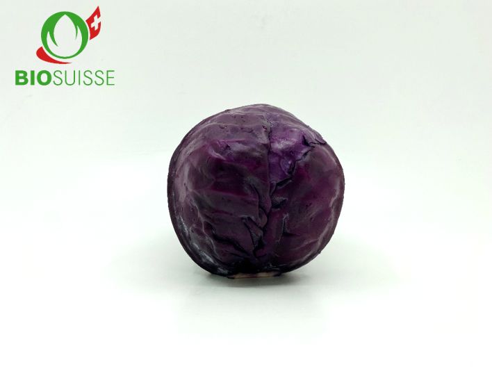 Kabis rot Bio Kabis rot Bio