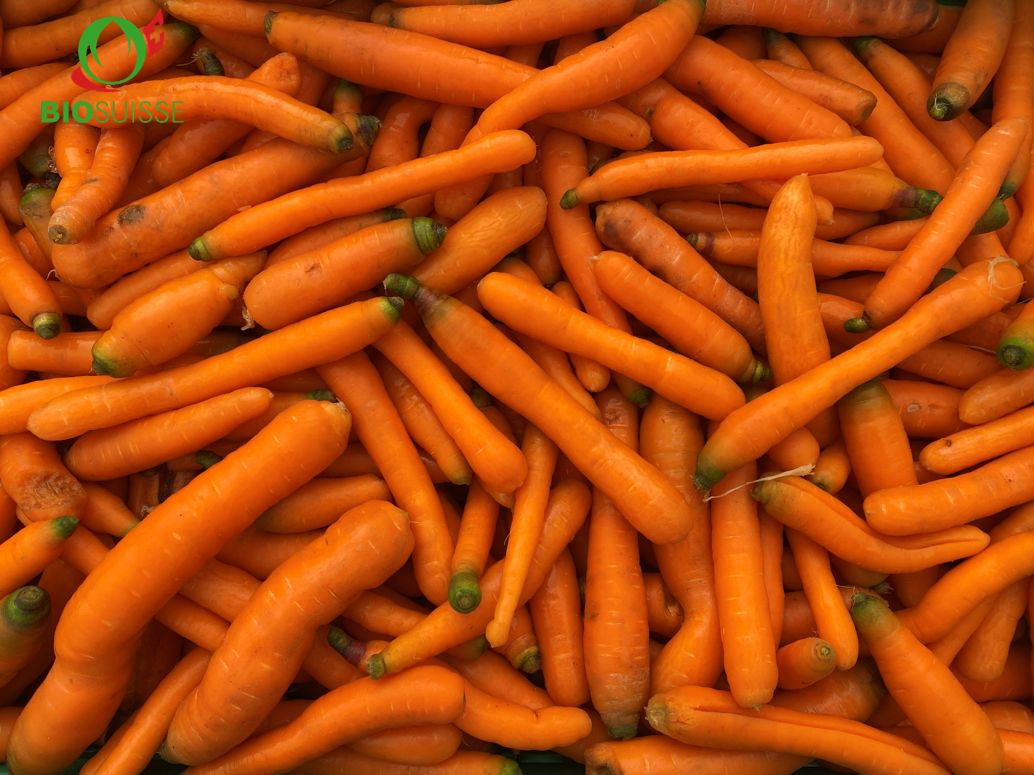 Karotten gew. 2.Kl. Bio