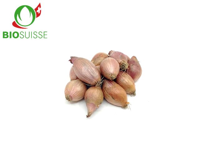 Eschalotten Bio