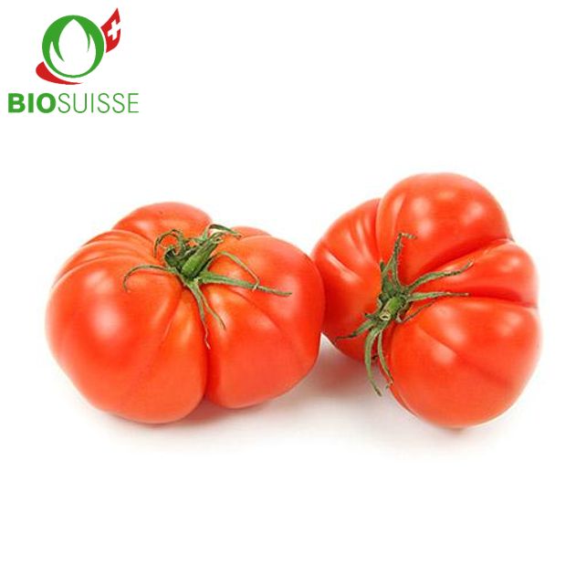 Tomaten Ochsenherz/geript Bio