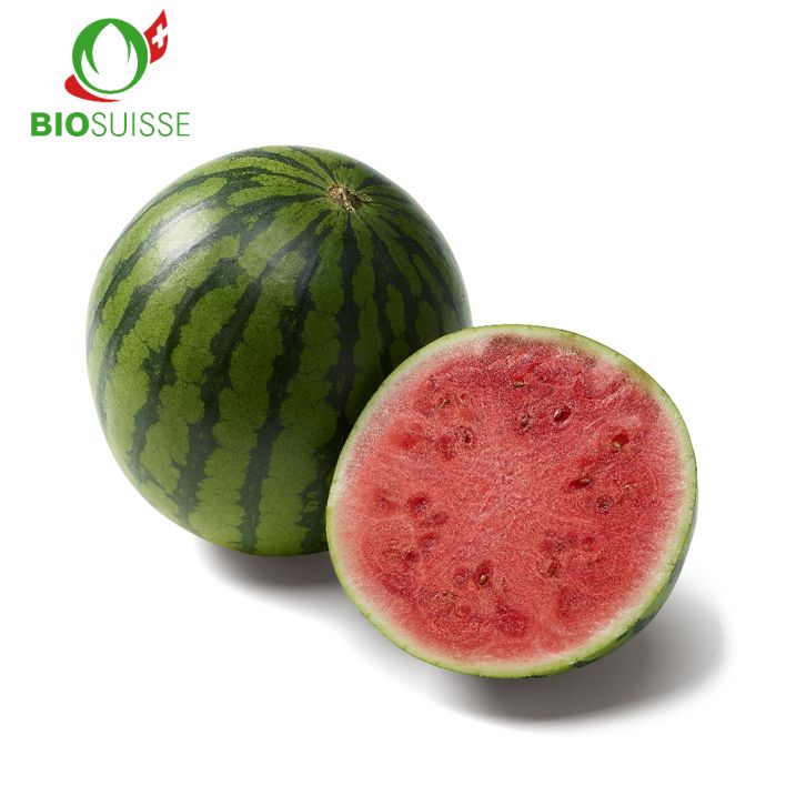 Wassermelonen Mini Bio