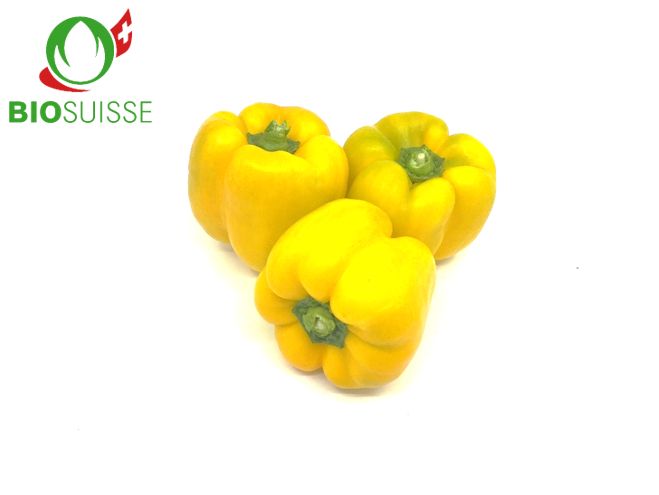 Peperoni gelb Bio