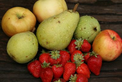Früchte & Beeren