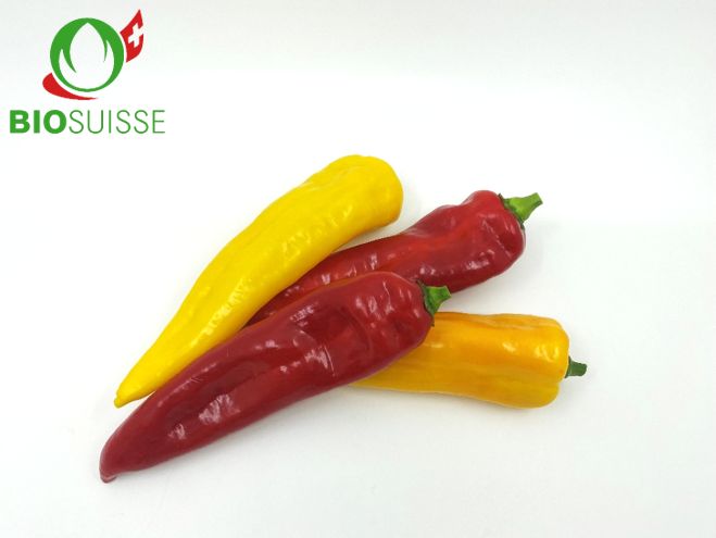 Peperoni Ramiro Bio farbig