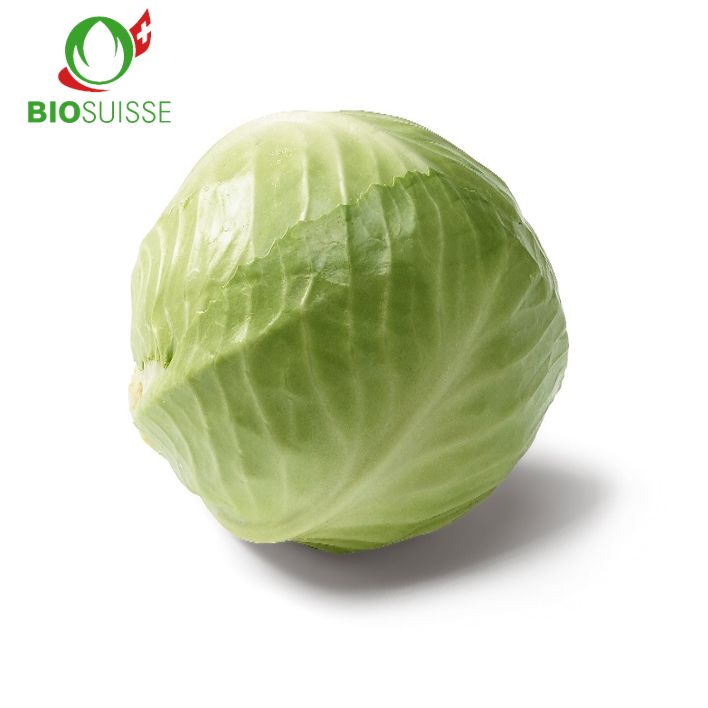 Einschneidekabis Bio Gastro