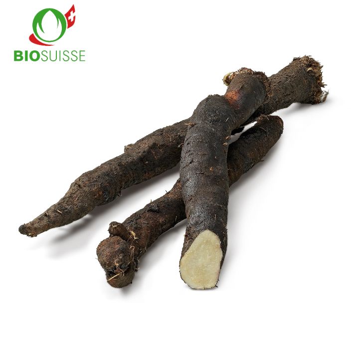 Schwarzwurzeln Bio Schwarzwurzeln Bio