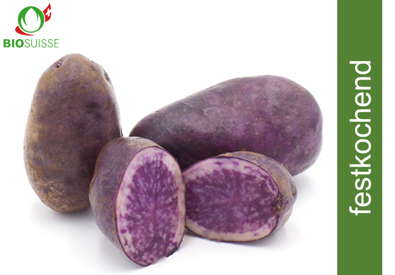 Kartoffeln blau gew. Bio