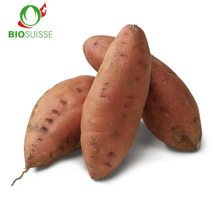 Süsskartoffeln gew. Bio L - GROSS
