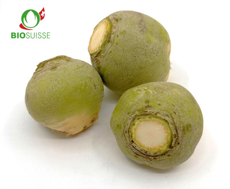 Rüben gelb Bio (Bodenkohlrabi)