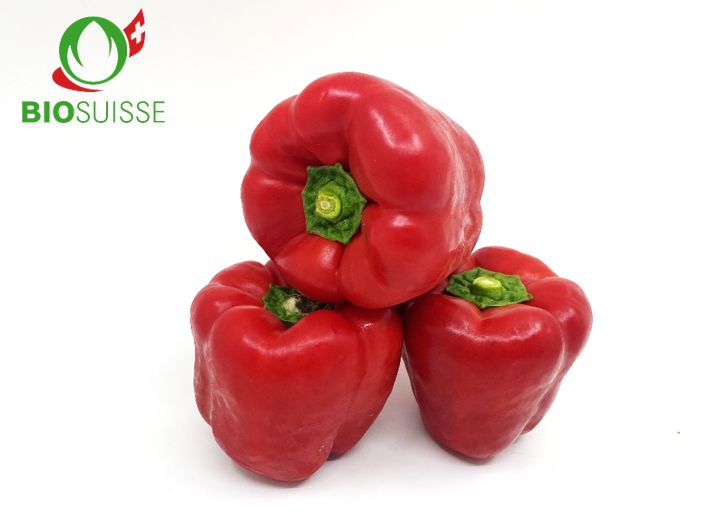 Peperoni rot Bio