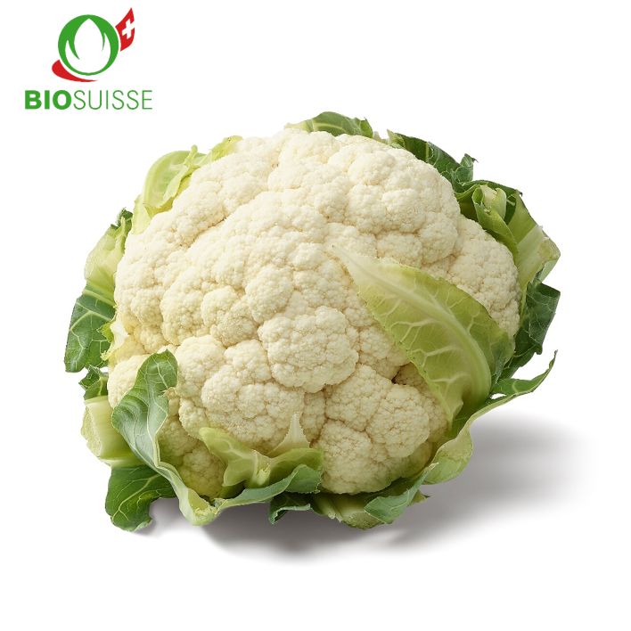 Blumenkohl Bio