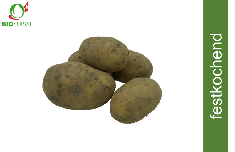 Kartoffeln festk. ungew. Bio