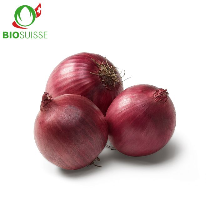 Zwiebeln rot Bio