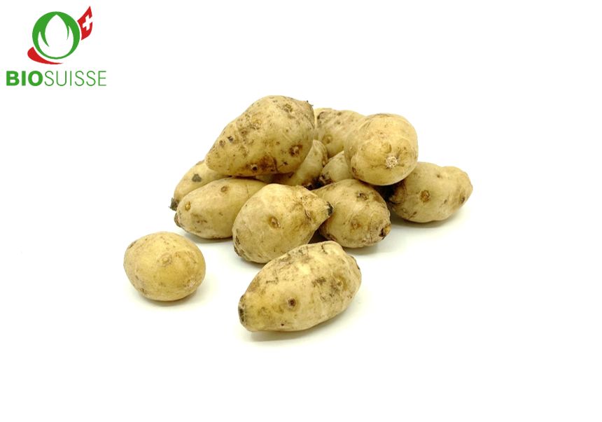 Topinambur Bio Topinambur Bio