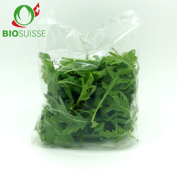 Rucola 100g Bio