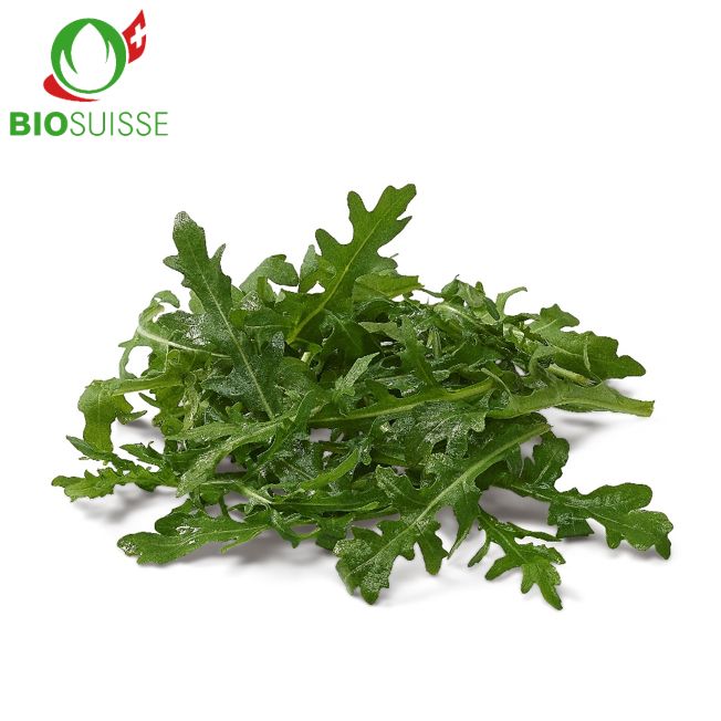 Rucola Bio