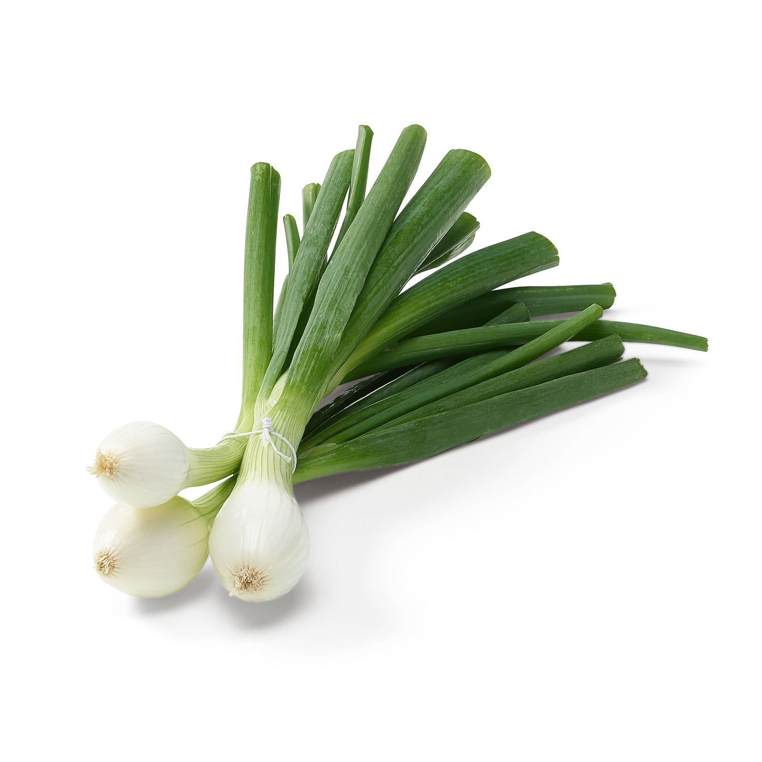 Bundzwiebeln Bio
