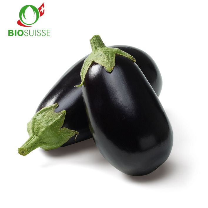 Aubergine Bio