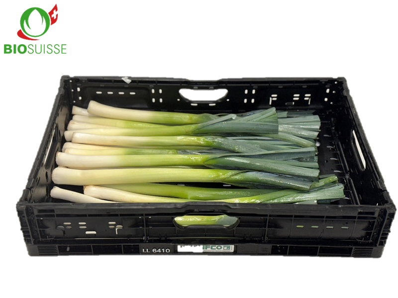 Lauch 2.5kg Bio